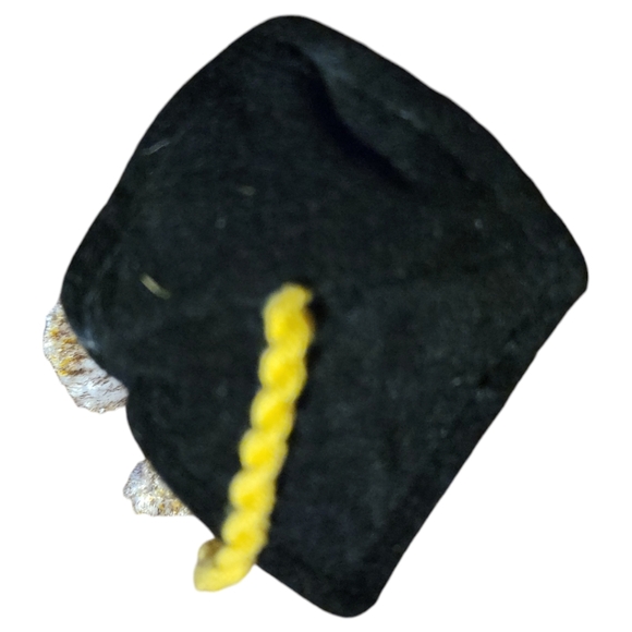 Vtg 2001 Ty Wise Owl Smarter Graduation School College Beanie Baby Error - Picture 5 of 14